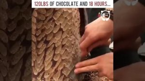 Шоколадный шедевр