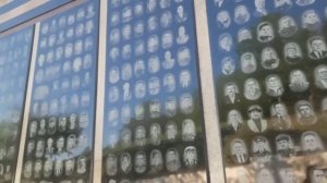 ирина-евстигнеева-я-держу-в-руке-ордена.