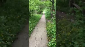 ПРАВИЛА ЖИЗНИ. НЕ УСТРАИВАЕТ ЖИЗНЬ - ПОМЕНЯЙ ПРАВИЛА