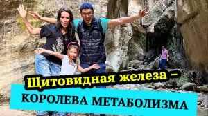 Щитовидная железа – королева метаболизма
