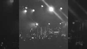 Звери я ухожу-ухожу красиво Казань