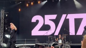 25/17- Подорожник