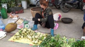 Harvesting Giant Devil Custard Apples & Sell at Market |The Mystery of the Devil's.Quynh ana harvest