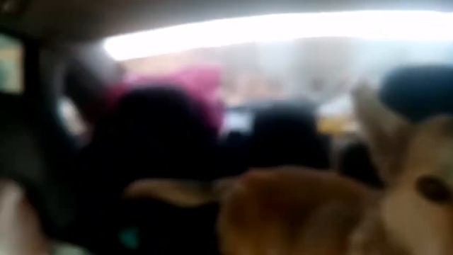 Опять предали, опять бросили. Как верить в лучшее. Мы на грани. 😭😭😭