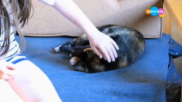 Навигатор Новости от 4 Августа 2020 года смотреть онлайн