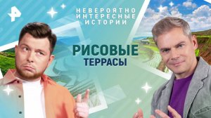 Рисовые террасы — Невероятно интересные истории (29.04.2025)