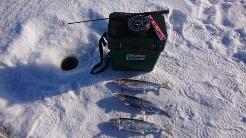 Рыбалка на Байкале/Омуль- мобиль/Ловим омуля с глубины 130м./День второй
