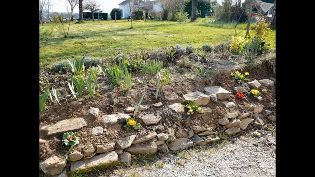🌷 200 Идей для сада: Вертикальные каскадные клумбы и цв