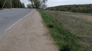 29.04 2025.Усадьба Парк Кино Ляхово. Парк Кошек. Домодедово. Обзор проделанных работ.Планы:1.Парковк