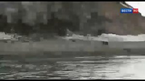 "Беги, Серега!": очевидец снял на видео фатальную встречу рыбака с медведем - Вести 24