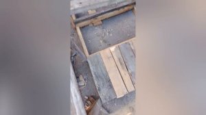 городим клетки для кроликов из подручных средств