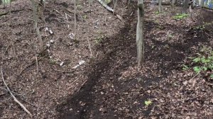 Блюватер часть 3