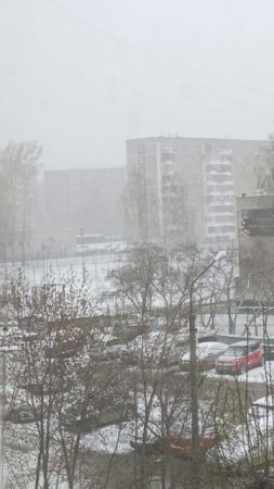 29.04.2025г. Зима вернулась.