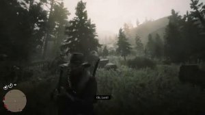 Red Dead Redemption 2 - Poor grizzly hunter