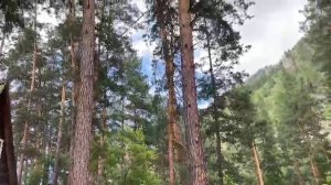 Продаю земельные участки на реке Катунь, Горный Алтай