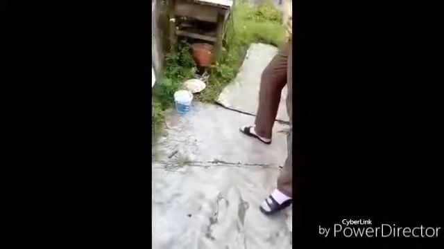 Милый ёжек. жрёт наши кости.