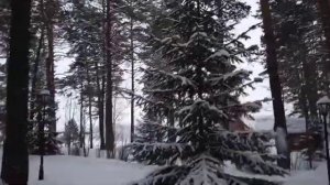 томская писаница