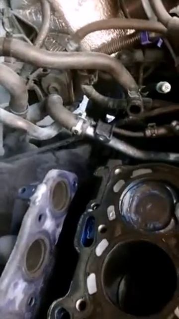 Смотреть всем ! Кот моторист ! смотреть онлайн