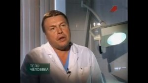 Тело человека. Сердечно-сосудистая система