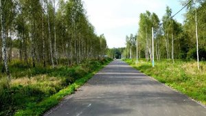 Участки в лесном массиве