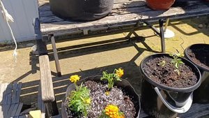 Мягкая клумба - пробую и показываю, что это такое.