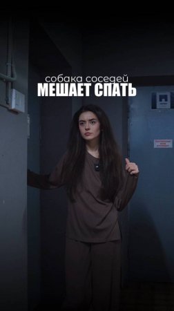 СОБАКА СОСЕДЕЙ МЕШАЕТ СПАТЬ