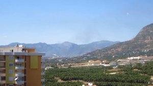 Череда Пожаров в Аланье!!! Горячие Новости// Наталья Шенер. Турция и Я.