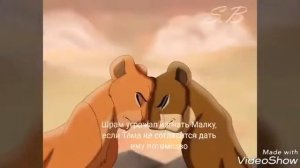 Король лев история Тамы