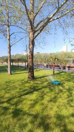 Парк Щербакова сегодня