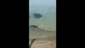 МОРЕ....ОНО ПРИТЯГИВАЕТ....