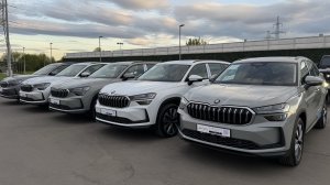 Skoda Kodiaq New Steel Grey Selection