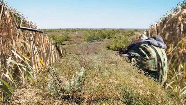 Волгоград смотреть онлайн