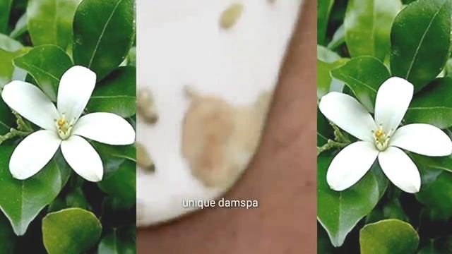 A005.проверь свою клетку каждые выходные так здорово смотреть онлайн