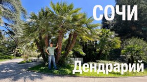 Дендрарий в Сочи весной