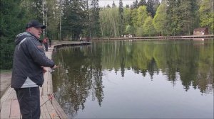 Позитивное утро на нижнем водоёме. Клёвое место, Лосиный остров.