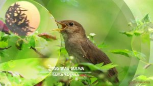 Как прекрасно всё то, что Твоё. mp4