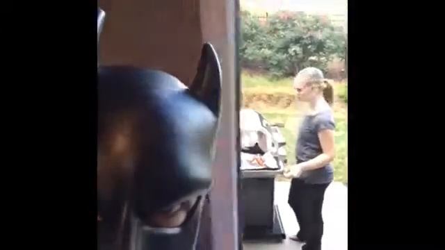 Девушка бэтмена смотреть онлайн