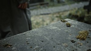 10499657-uhd_4096_2160_25fps