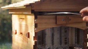 Сбор мёда из улья Flow