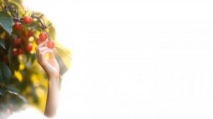 Зачем вы девочки красивых любите _ New Italo Disco Style _ Поёт Klava Zimina _ Музыка DJ Semyonich 🌸