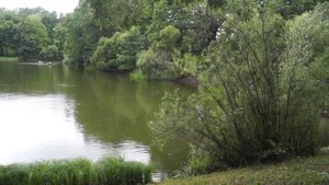 Усадьба И.С. Тургенева Спасское-Лутовиново