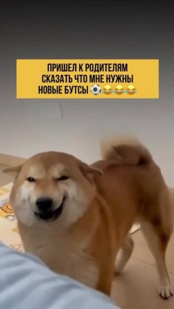 Хочу новые бутсы!!!