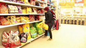 КОРОЧЕ ГОВОРЯ, Я ЗАВЁЛ СОБАКУ (ПРИКОЛ #1)