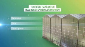 Агрокомплекс Родина