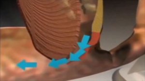 Антихрап доктор храп экстракт мяты спрей 60мл - смотрите и убедитесь!