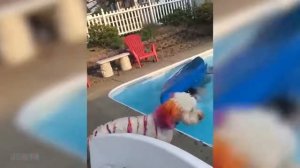 Я РЖАЛ ДО СЛЕЗ😂 Смешные видео 2021 ● неудачные падения в воду, подборка Приколы