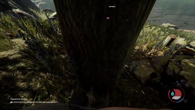 The Forest Прохождение CO-OP: Часть 2