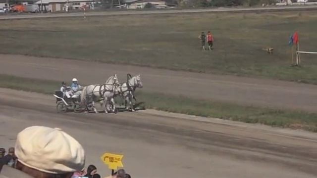 Тройка на фестивале орловского рысака смотреть онлайн