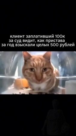 Лайк если жиза