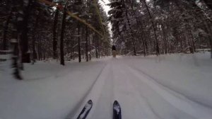 Коне-лыжный декабрь 2023. Скиджоринг в Подмосковье!